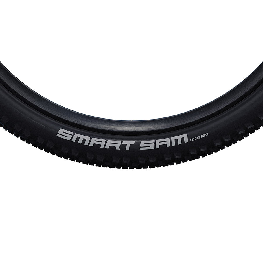 Schwalbe Smart Sam