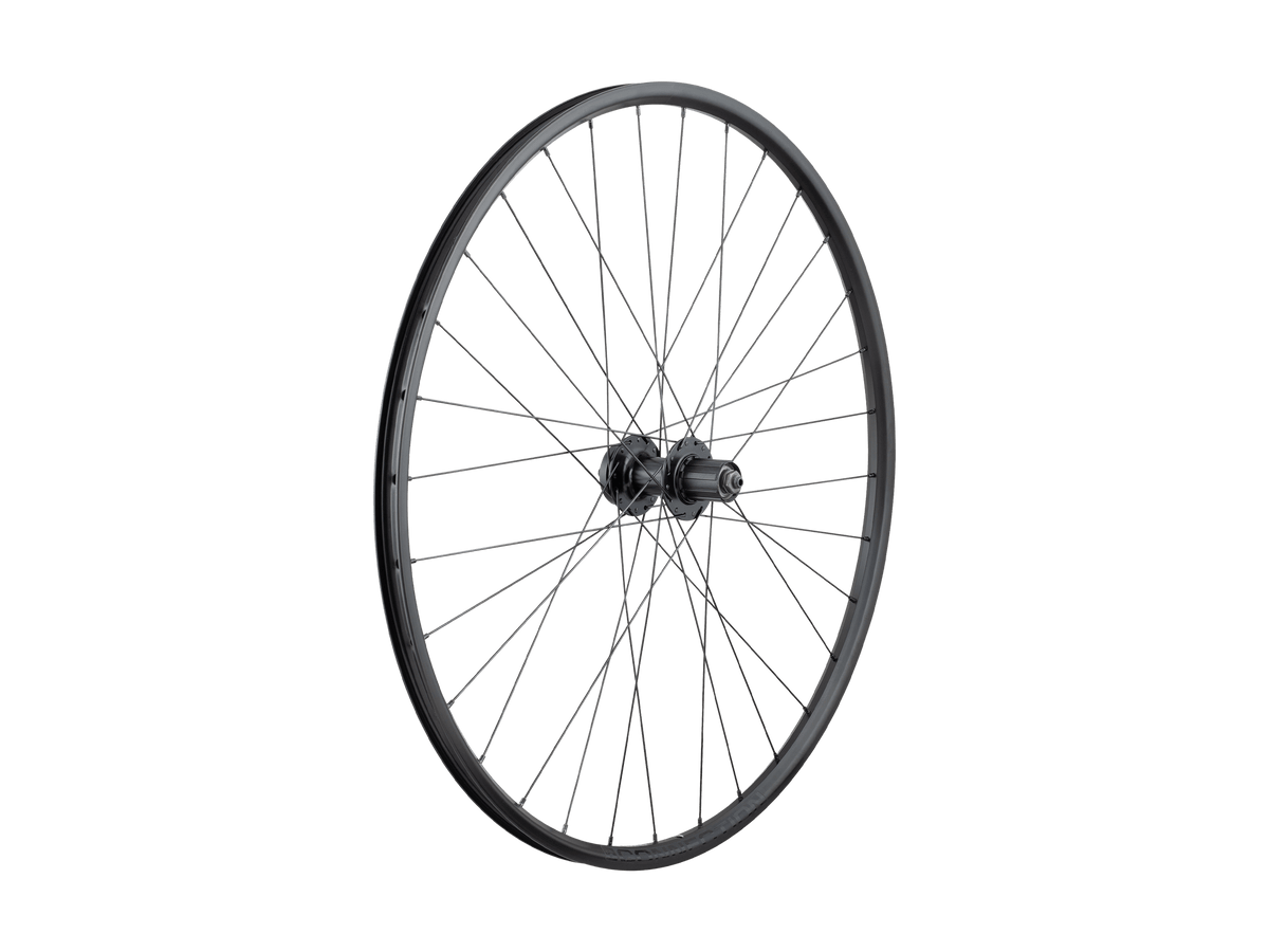 Trek Connection Schrader 29˝ 6-Bolt Disc MTB Wheel